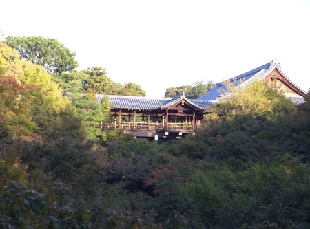 秋の東福寺
